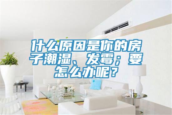 什么原因是你的房子潮濕、發(fā)霉；要怎么辦呢？