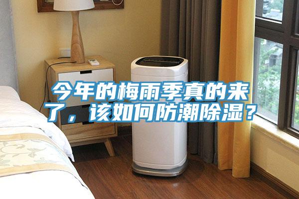 今年的梅雨季真的來(lái)了，該如何防潮除濕？