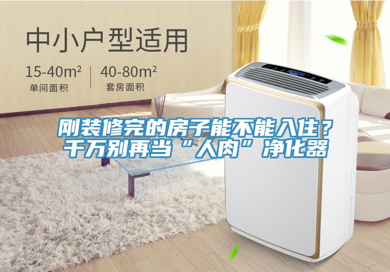剛裝修完的房子能不能入??？千萬別再當“人肉”凈化器