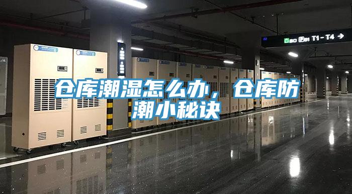 倉庫潮濕怎么辦，倉庫防潮小秘訣