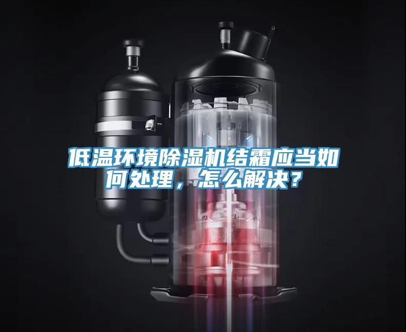 低溫環(huán)境除濕機(jī)結(jié)霜應(yīng)當(dāng)如何處理，怎么解決？