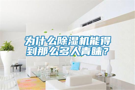 為什么除濕機能得到那么多人青睞？