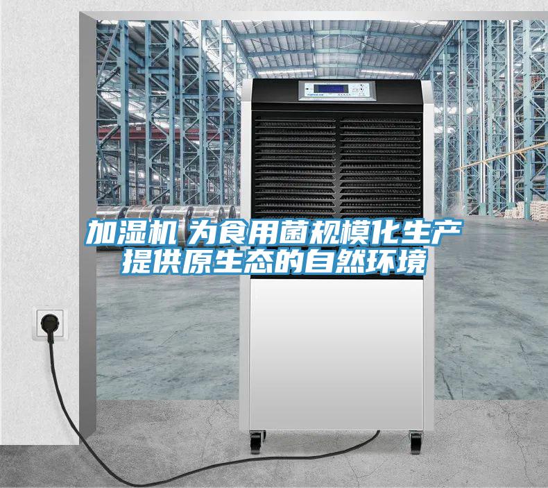 加濕機(jī)　為食用菌規(guī)?；a(chǎn)提供原生態(tài)的自然環(huán)境