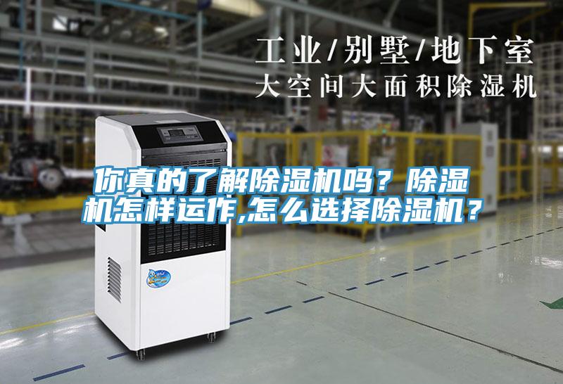 你真的了解除濕機(jī)嗎？除濕機(jī)怎樣運(yùn)作,怎么選擇除濕機(jī)？
