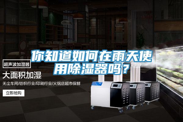 你知道如何在雨天使用除濕器嗎？
