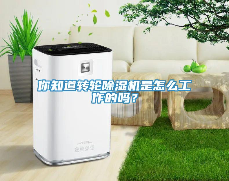 你知道轉(zhuǎn)輪除濕機是怎么工作的嗎？