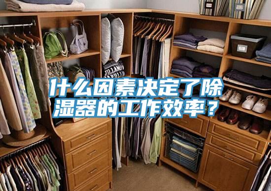 什么因素決定了除濕器的工作效率？