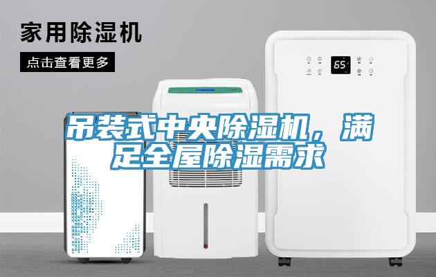 吊裝式中央除濕機(jī)，滿足全屋除濕需求
