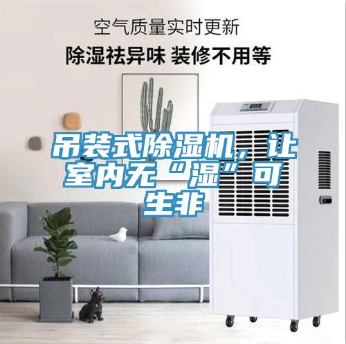 吊裝式除濕機(jī)，讓室內(nèi)無(wú)“濕”可生非