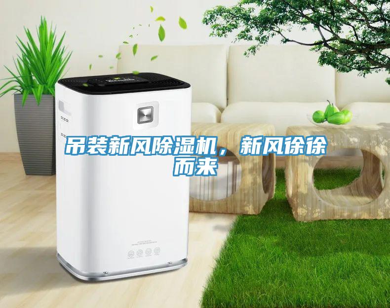 吊裝新風(fēng)除濕機(jī)，新風(fēng)徐徐而來