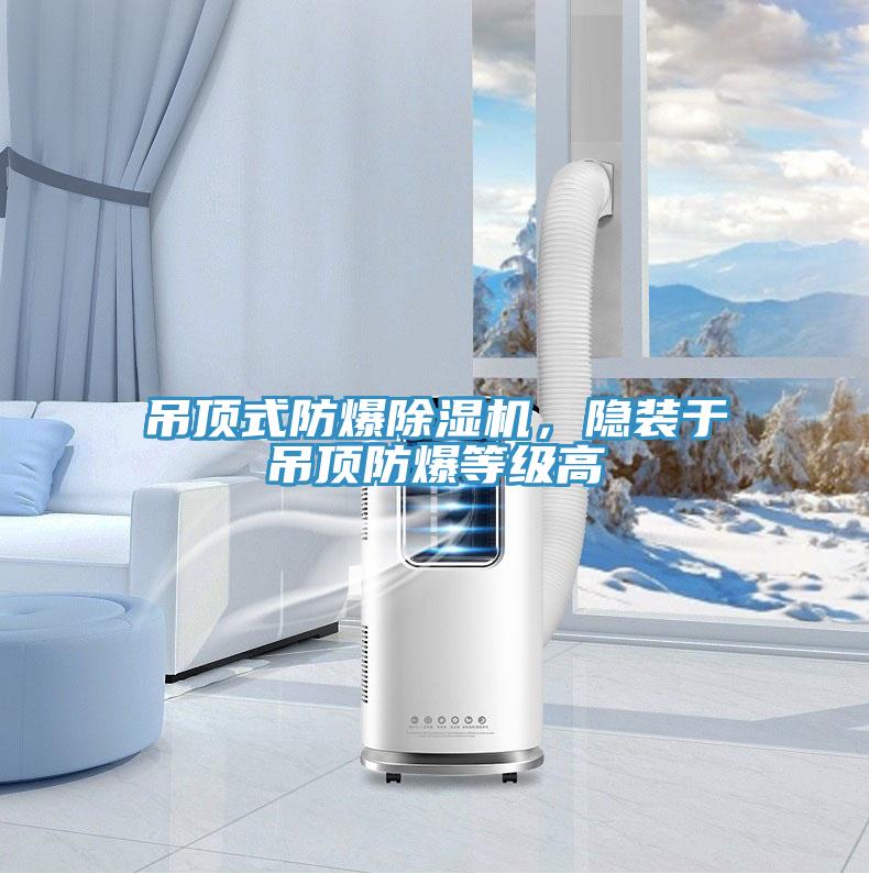 吊頂式防爆除濕機(jī)，隱裝于吊頂防爆等級(jí)高