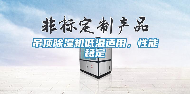 吊頂除濕機低溫適用，性能穩(wěn)定