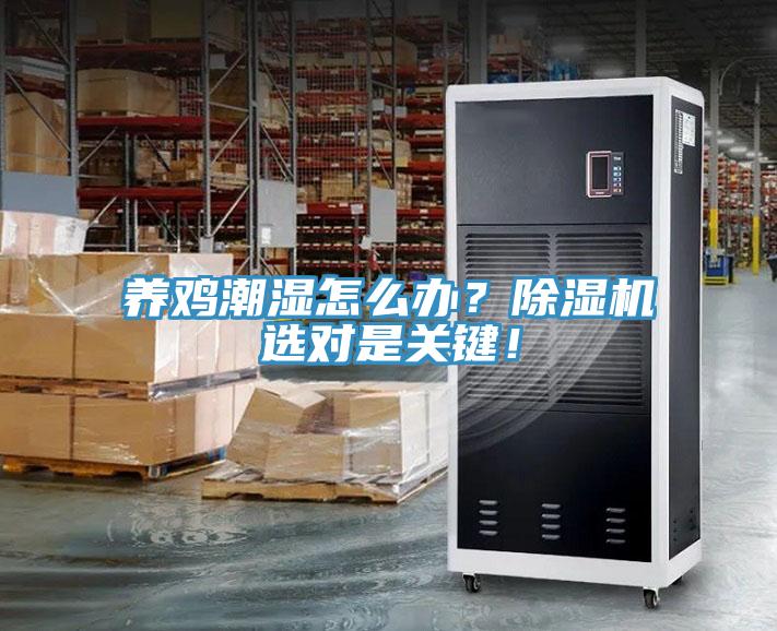 養(yǎng)雞潮濕怎么辦？除濕機(jī)選對(duì)是關(guān)鍵！