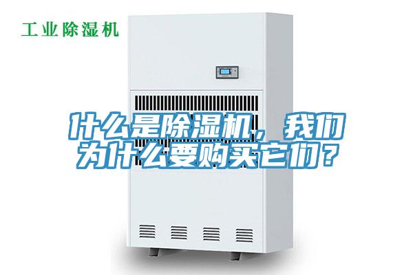 什么是除濕機(jī)，我們?yōu)槭裁匆徺I它們？