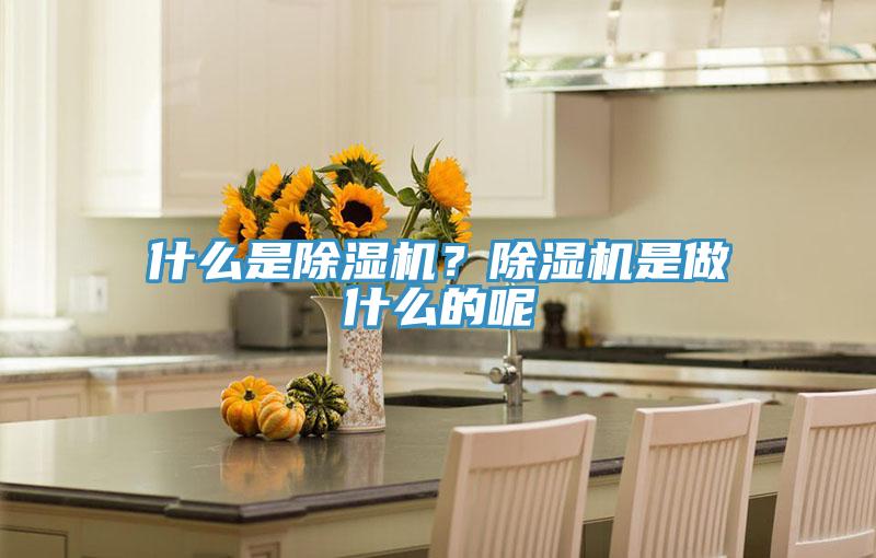 什么是除濕機(jī)？除濕機(jī)是做什么的呢