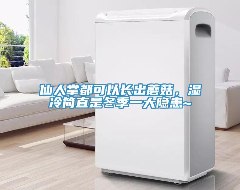 仙人掌都可以長出蘑菇，濕冷簡直是冬季一大隱患~
