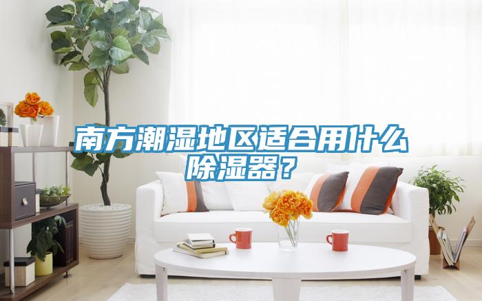 南方潮濕地區(qū)適合用什么除濕器？