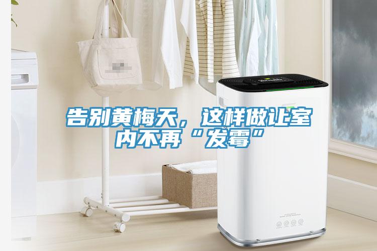 告別黃梅天，這樣做讓室內(nèi)不再“發(fā)霉”