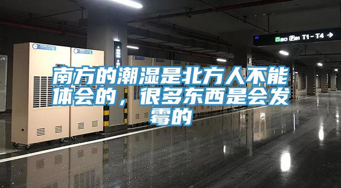 南方的潮濕是北方人不能體會的，很多東西是會發(fā)霉的