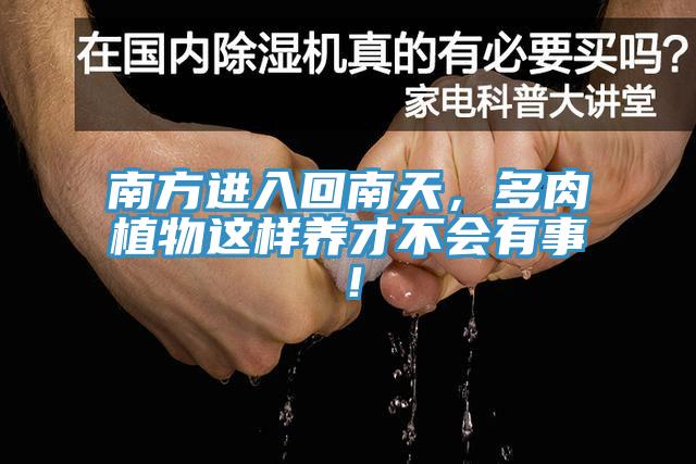 南方進(jìn)入回南天，多肉植物這樣養(yǎng)才不會有事！