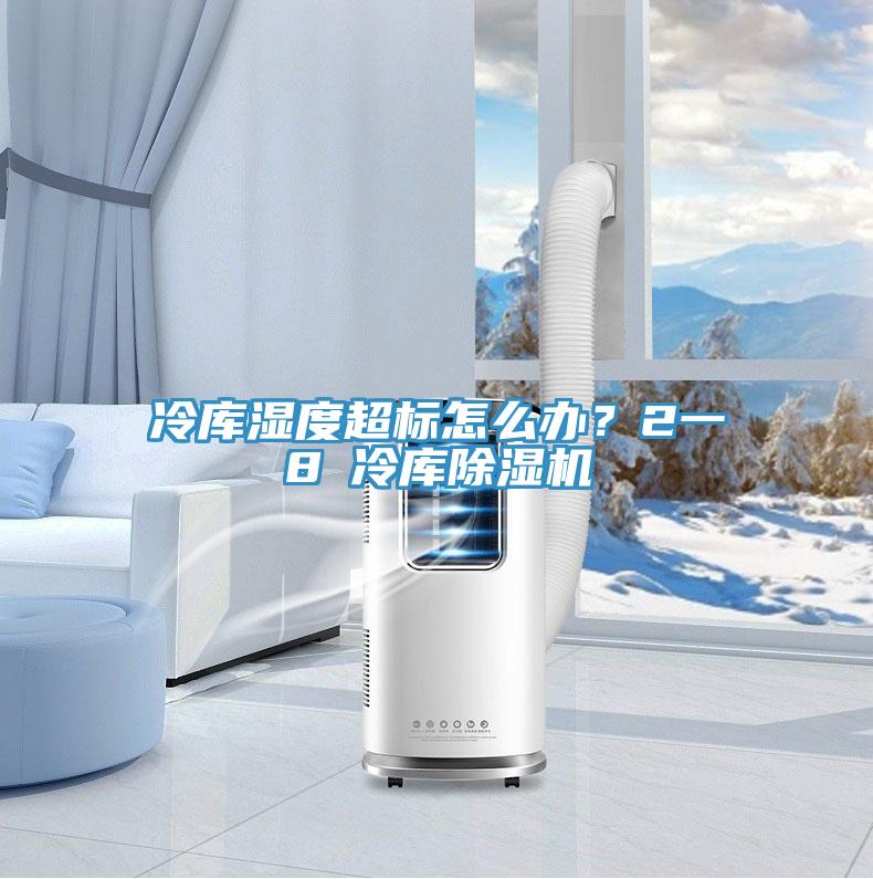 冷庫(kù)濕度超標(biāo)怎么辦？2一8℃冷庫(kù)除濕機(jī)