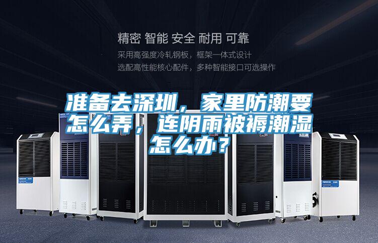 準(zhǔn)備去深圳，家里防潮要怎么弄，連陰雨被褥潮濕怎么辦？