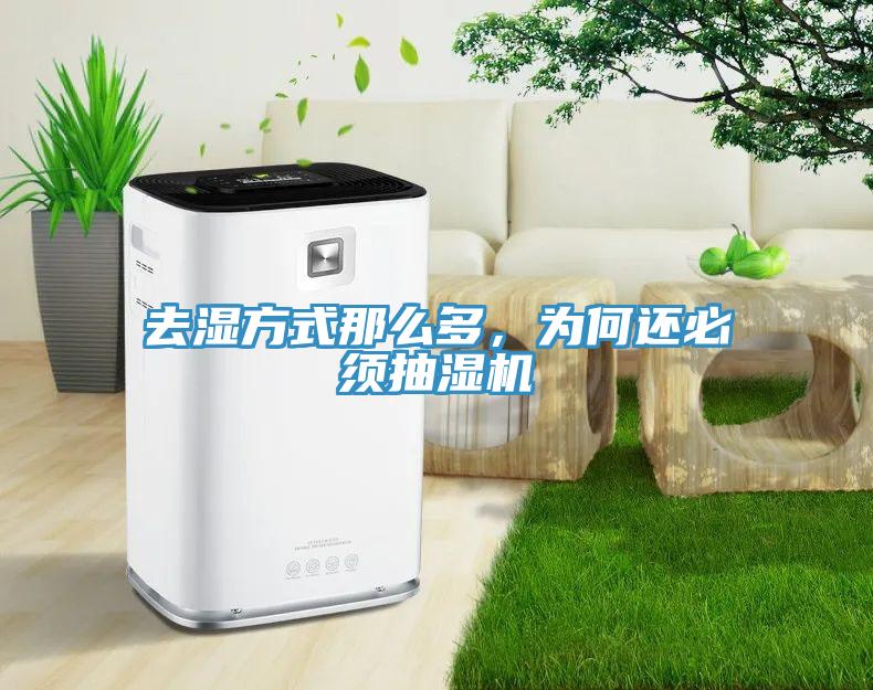 去濕方式那么多，為何還必須抽濕機(jī)
