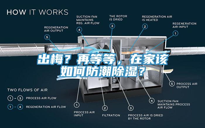 出梅？再等等，在家該如何防潮除濕？