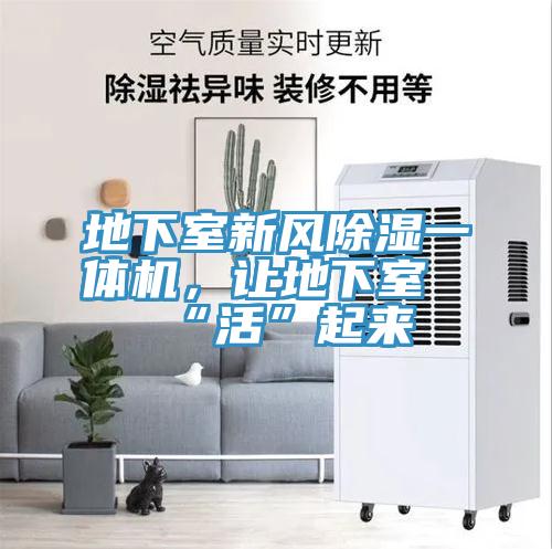 地下室新風(fēng)除濕一體機，讓地下室“活”起來
