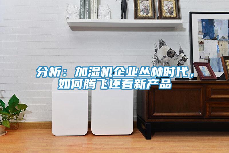 分析：加濕機(jī)企業(yè)叢林時(shí)代，如何騰飛還看新產(chǎn)品