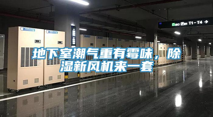 地下室潮氣重有霉味，除濕新風(fēng)機來一套