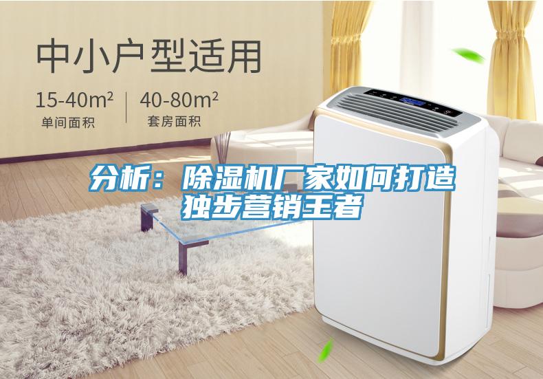 分析：除濕機廠家如何打造獨步營銷王者