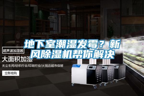 地下室潮濕發(fā)霉？新風(fēng)除濕機幫你解決