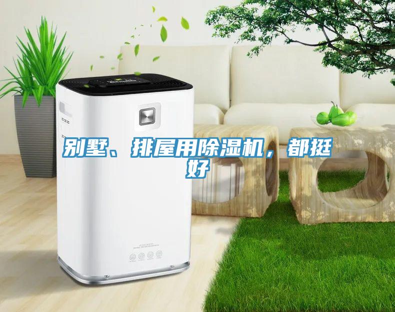 別墅、排屋用除濕機(jī)，都挺好