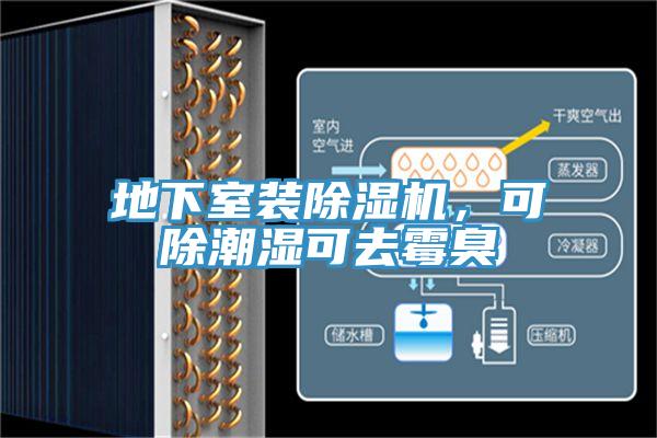 地下室裝除濕機，可除潮濕可去霉臭