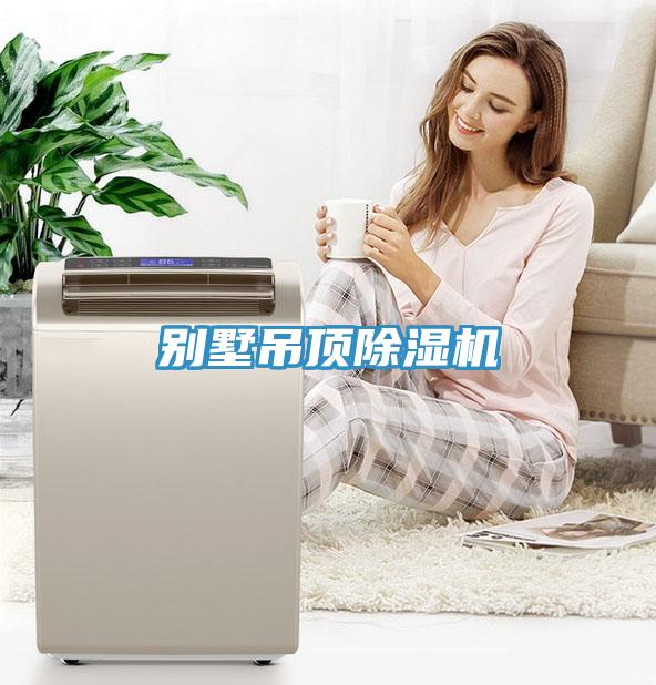 別墅吊頂除濕機(jī)