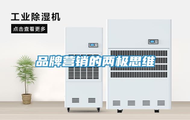 品牌營(yíng)銷(xiāo)的兩極思維