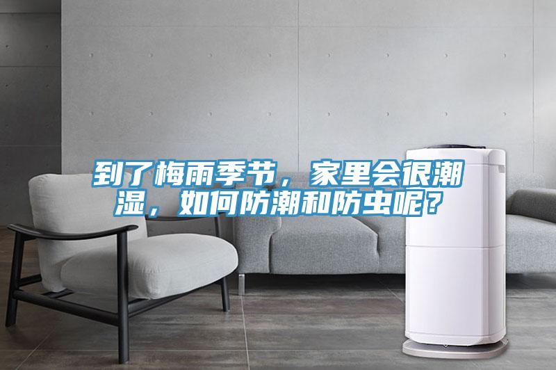 到了梅雨季節(jié)，家里會很潮濕，如何防潮和防蟲呢？