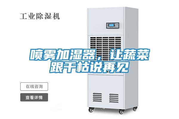 噴霧加濕器，讓蔬菜跟干枯說再見