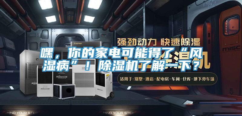 嘿，你的家電可能得了“風濕病”！除濕機了解一下？