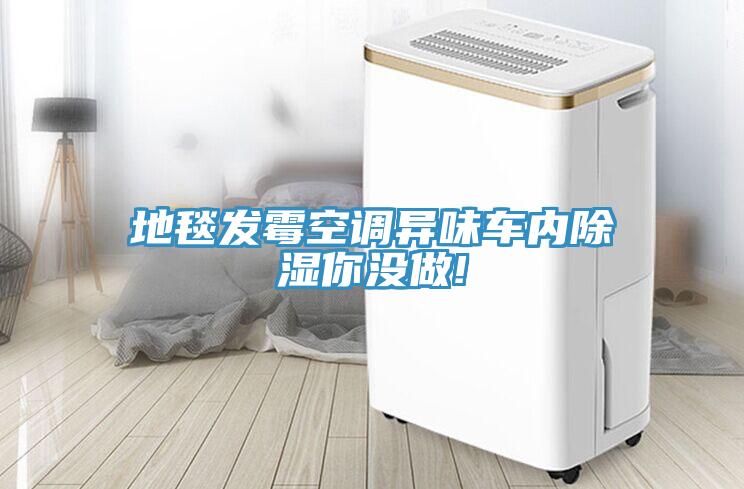 地毯發(fā)霉空調(diào)異味車(chē)內(nèi)除濕你沒(méi)做!