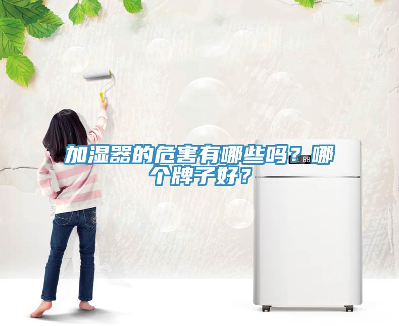 加濕器的危害有哪些嗎？哪個牌子好？