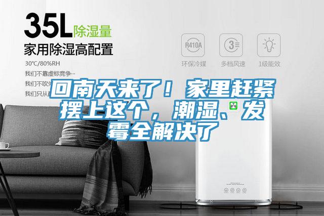 回南天來了！家里趕緊擺上這個，潮濕、發(fā)霉全解決了