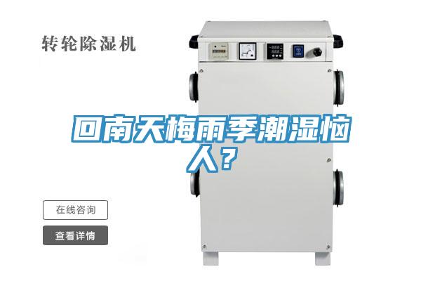 回南天梅雨季潮濕惱人？