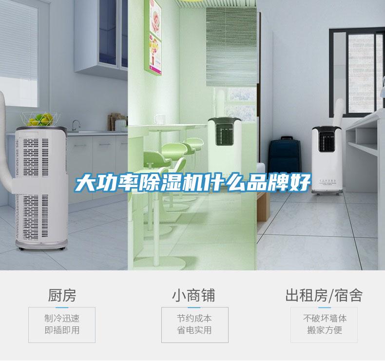 大功率除濕機(jī)什么品牌好