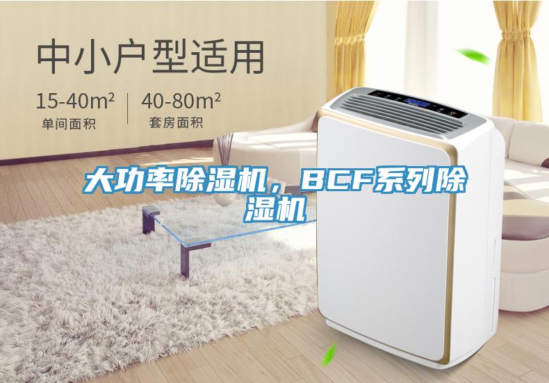 大功率除濕機，BCF系列除濕機