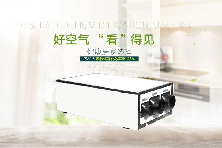 升溫型除濕機哪個品牌好，怎么選擇？