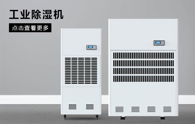 回南天，除濕機享受干爽